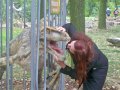 dinofranz.jpg